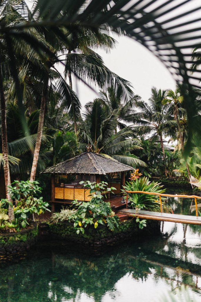 شارابوفا.. أميرة التنس التي أطاحت بها المنشطات